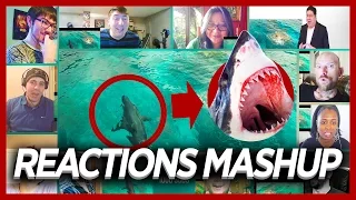 The Shallows Official Trailer Reactions Mashup (Shark? Yes!)
