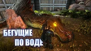 Спинолов - ARK Ragnarok # 19