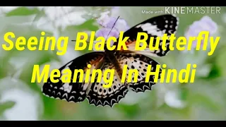 Seeing Black Butterfly Meaning In Hindi
