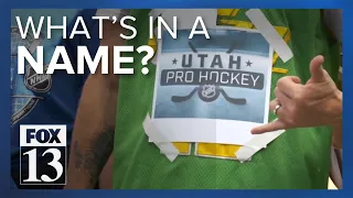 Fans of Utah's new hockey team chime in on favorite name ideas