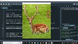 Tutorial 3- Drawing Functions in OpenCV | Image Processing Course| Computer Vision