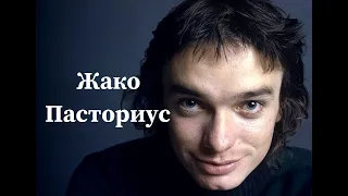 Жако Пасториус. Яркая жизнь и трагический финал. Краткая биография музыканта, творческий путь.