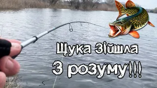 Щука зійшла з розуму і клює на кожному закиді | Рибалка на спінінг в межах міста