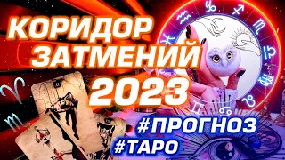 ПРОГНОЗ О ГЛАВНЫХ ЗАТМЕНИЯХ 2023 ГОДА | ИЗМЕНЕНИЯ В ЖИЗНИ | ГОРОСКОП ТАРО | ПОЛНЫЙ РАЗБОР #НОВОСТИ