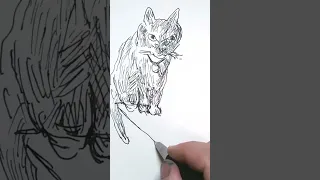 Drawing with Fountain Pens: Using a Lamy 2000 to draw Severus the Cat on Ground Hog Day