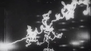 Энергетика и биосфера, Союзвузфильм, 1980