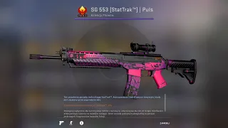 sg553 | pulse gameplay