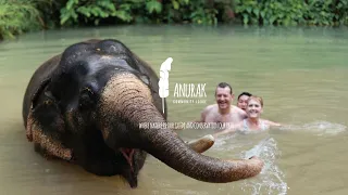 Elephant Experience | Khao Sok National Park