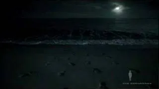 Navy SEALS "Footprints" Commercial