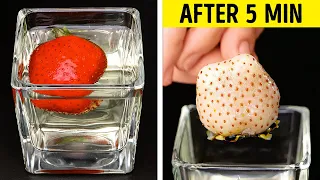 AMAZING SCIENCE EXPERIMENTS COMPILATION || DILUTE YOUR DAILY LIFE!