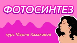 Урок "Фотосинтез" - ЦТ, ЕГЭ, ЗНО