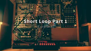 Short Loop Part 1 ( Eurorack )