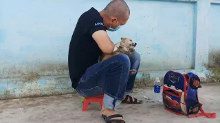 Rescue the poor puppy dumped in the landfill