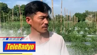 Kabayan | TeleRadyo (5 July 2022)