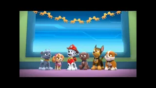 Paw Patrol tribute for my birthday