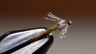 Barr's Emerger BWO