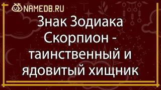 Знак зодиака Скорпион - таинственный и ядовитый хищник