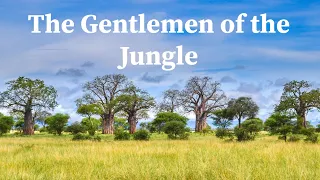 The Gentlemen of the Jungle Explanation and Summary