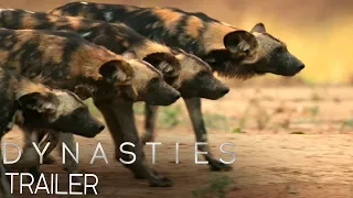 Dynasties:  Official Trailer #2 | New David Attenborough Series | BBC Earth