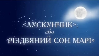 "ЩЕЛКУНЧИК"или"РОЖДЕСТВЕНСКИЙ СОН МАРИ"-1 акт("Ярославна"-КДШИ №2, дек.2017год.)