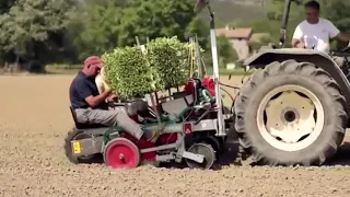 World Amazing Modern Tobacco Farm Harvester Agriculture Technology Tractor Loader Truck Machines