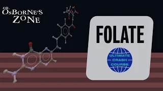Ultimate Crash Course on Folate (Vitamin B9) - Dr. Osborne's Zone