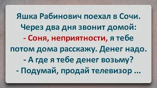 ✡️ Яша Рабинович Поехал в Сочи! Еврейские Анекдоты! Анекдоты про Евреев! Выпуск #134