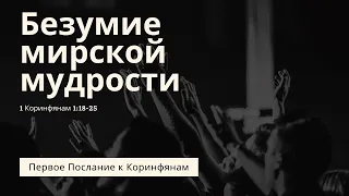 "Безумие мирской мудрости" | Владимир Мицук