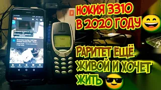 Nokia 3310 в 2020 году, живчик из прошлого готов пережить современные смартфоны)