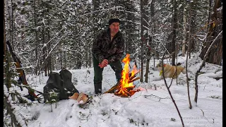 В погоне за соболем. Белкование.