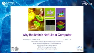 Týden mozku 2024 - The Brain is not a Computer