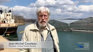 Jean-Michel Cousteau on Captive Whales in Russia: "Its a very exciting time..."