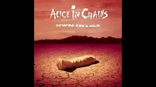 Down In A Hole(Jerry Cantrell's vocals only)(Alice In Chains)