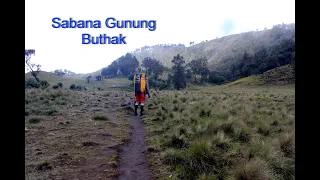 Gunung Buthak Sabana Camp Luas Cakep.  #jimhiking #gunungbuthak #sabanabuthak