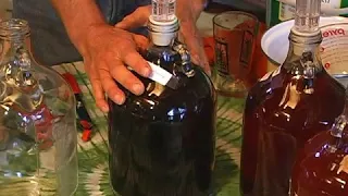 When is Homemade Wine Ready?