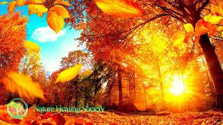 Good Morning Meditation Music 💖 528Hz Positive Healing Thoughts&Energy - Calm Therapy Vibe Music