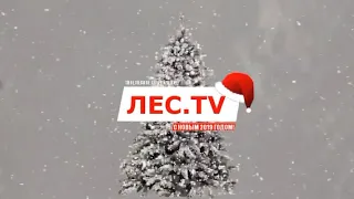 Лес.TV - твое лесное телевидение поздравляет вас с наступающим Новым Годом!