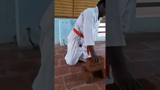 Two Bricks breaking by child