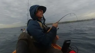 I got reefed by a king then get caught in a squall! | Sydney Kayak Fishing