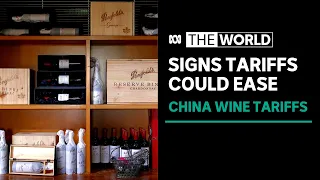 Winemakers “cautiously optimistic” that China’s tariffs on Australian wines may end soon | The World