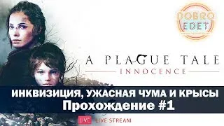 ✅A Plague Tale: Innocence ИНКВИЗИЦИЯ, УЖАСНАЯ ЧУМА И КРЫСЫ ●ПРОХОЖДЕНИЕ #1