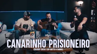 CANARINHO PRISIONEIRO | Eduardo Costa, Edy Britto e Samuel