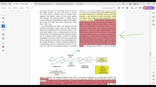 NAC for mucus busting in the lungs or gut, also in cystic fibrosis