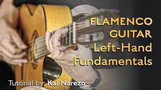 Flamenco Guitar Left-Hand Fundamentals - Tutorial by Kai Narezo