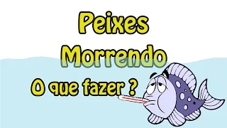 Peixes morrendo! O que fazer?