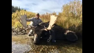 Bowhunting Giant Wyoming Moose "The Grizzly Ridge Giant"