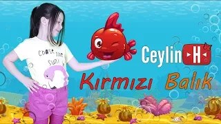 Ceylin-H | " Kırmızı Balık " Çocuk Şarkısı - Nursery Rhymes & Super Simple Kids Songs