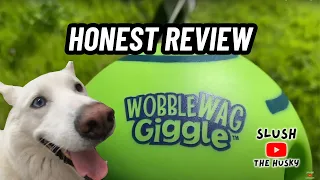 An Honest Wobble Wag Giggle Ball Review