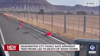 Family hoping to find those responsible for prank that led to the death of a horse