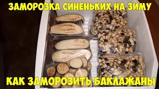 Синенькие на зиму Как заморозить баклажаны Заморозка овощей